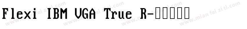 Flexi IBM VGA True R字体转换
